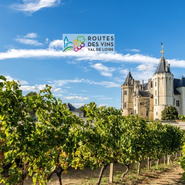 4 great reasons to discover the Routes des Vins wine trails 