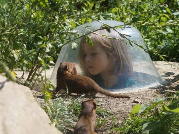 Spaycific_Zoo2