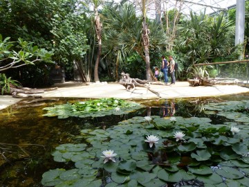 TerraBotanica_LeTresorDeLaPerouse