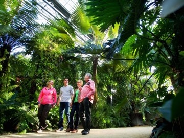 TerraBotanica_Serre