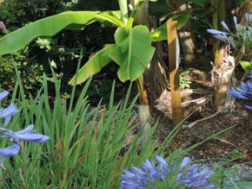 Tropicarium Bonsaï La Baule_2 DR