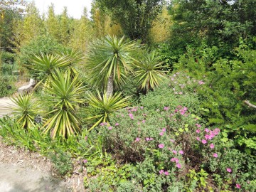 Tropicarium - Jardin exotique - La Baule_10 ©Tropicarium Bonzaï