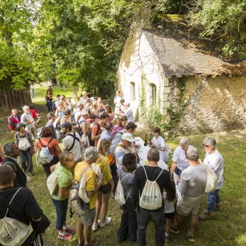 Amazing wine events!