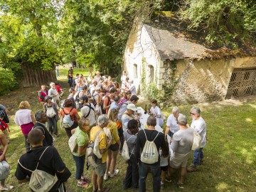 Vignes Vins et Randos en Vallée du Loir