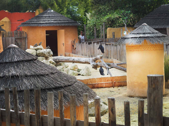 Village de Kirikou