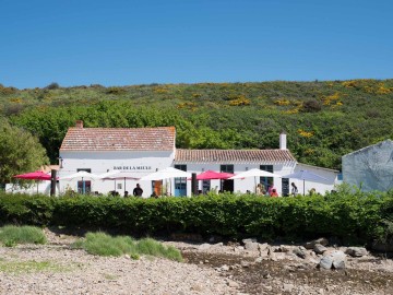 Port de la Meule - Yeu - Photo N. Job-Heos Marine 
